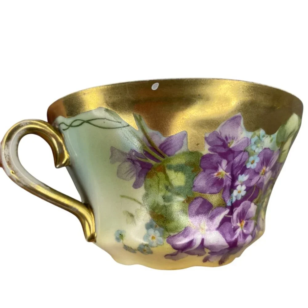 Vintage Imperial Austria Porcelain Tea Cup Japan Saucer Purple‎ Floral Gold